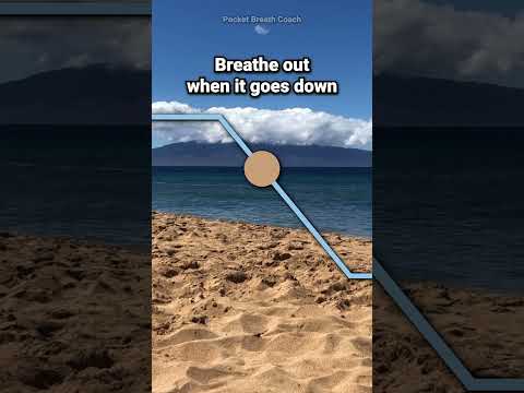 Mindfulness Breathing Techniques to Alleviate Anxiety