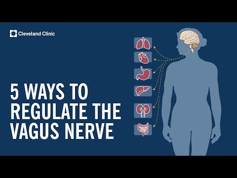 Vagus Nerve Stimulation: A New Approach to Depression Treatment