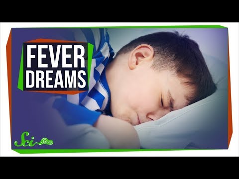 Fever Dreams and Night Terrors: A Psychological Perspective