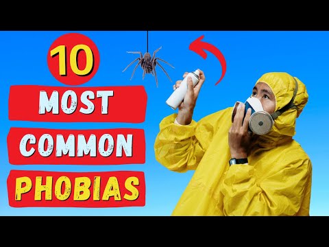Most Common Phobias and Their Psychological Roots