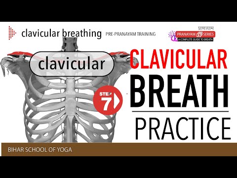 Clavicular Breathing and Its Role in Mental Wellbeing