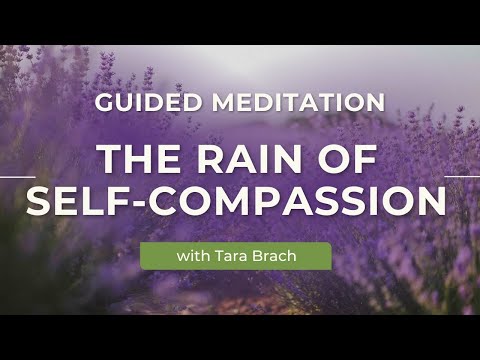 Nurturing Self Compassion Through Tara Brach's Rain Practice