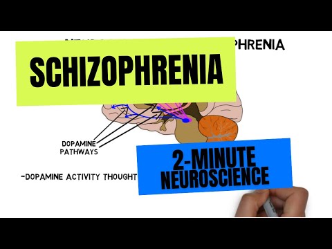 Causes and Triggers of Schizophrenia in Mental Health