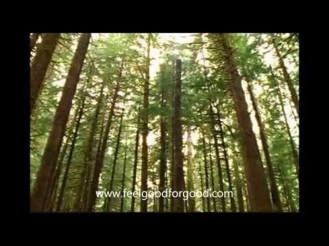 Navigating the Depths of Melancholic Depression