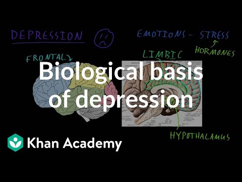 Biological Factors Influencing Depression in Mental Health