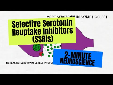 The Role of Serotonin Reuptake Inhibition in Mental Health