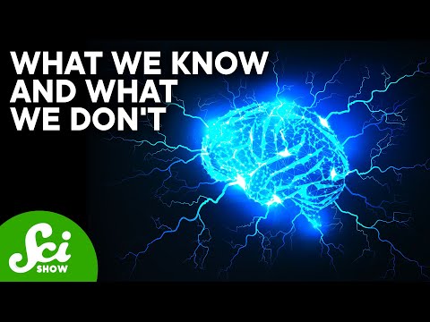 Brain Zaps and Lexapro: Navigating Mental Health Effects