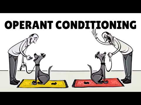 Defining Operant Conditioning in Psychology and Mental Health