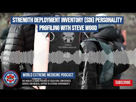 SDI Personality Test for Insight into Your Behavior