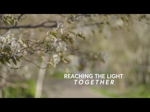 Shadows of the Mind: Navigating Depressed Light