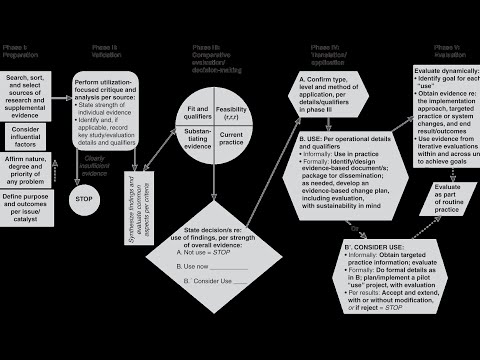 Implementing Stetler Model in Mental Health Practice