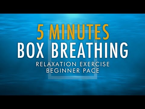 Calm Your Mind with Box Breathing for Anxiety Relief