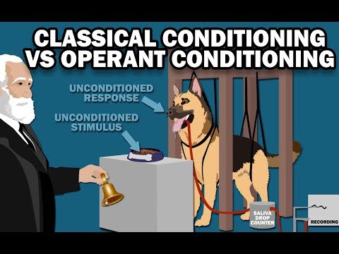 Operant Conditioning in Psychology and Mental Health Explained