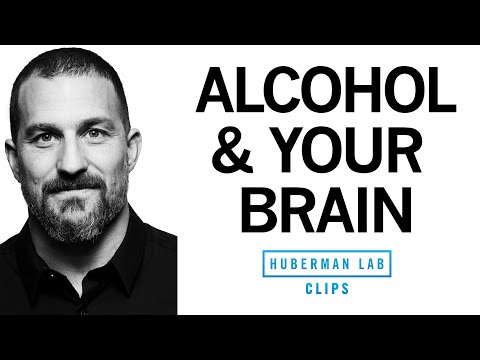Alcohol's Role in Mental Clarity and Brain Fog Issues