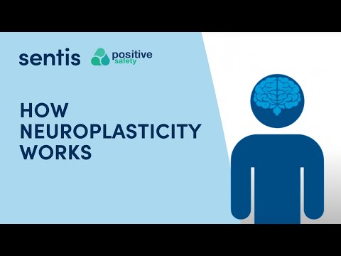 The Role of Brain Plasticity in Mental Health and Recovery