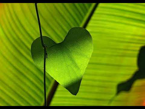 Mindfulness and Self-Compassion Workbook for Mental Health