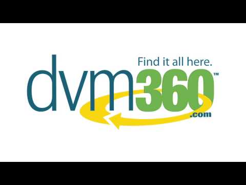 The Link Between Toxoplasmosis and Schizophrenia Symptoms