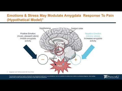 Navigating Life with Major Depressive Disorder and Its Challenges