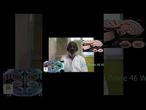 Harnessing Social Rhythm Therapy for Better Mental Health