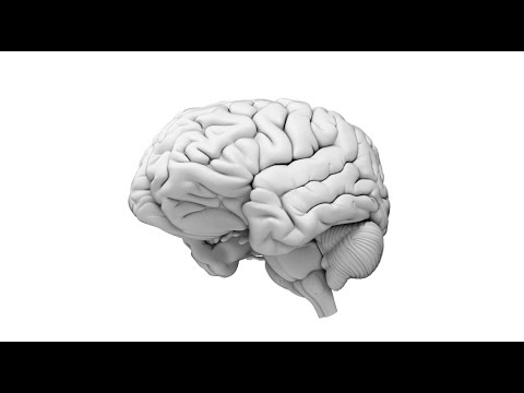 Memory Tests for Seniors: Enhancing Mental Health Through Play