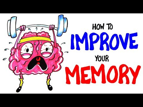 Psychological Strategies to Enhance Your Memory Skills