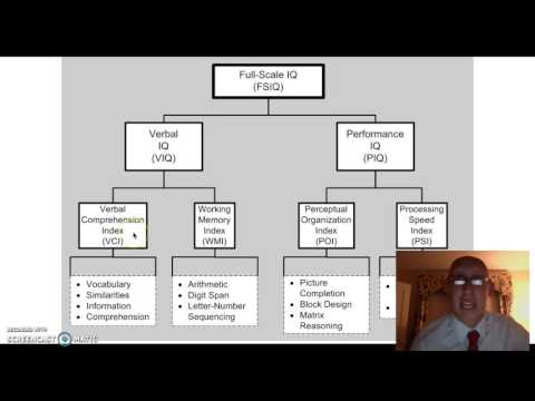 WISC Intelligence Test and Its Role in Child Psychology