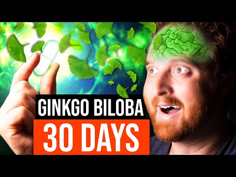 Ginkgo Biloba and Its Role in Mental Clarity and Focus