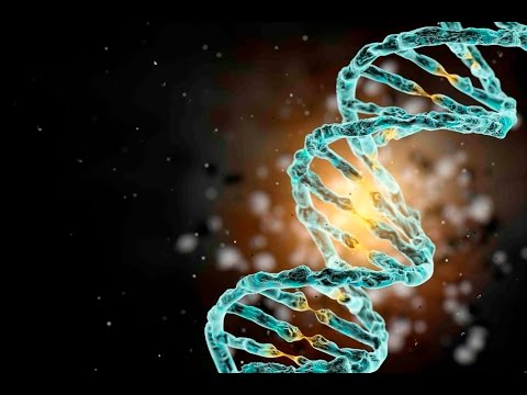 Is Schizophrenia Inherited? Insights on Genetics and Mental Health