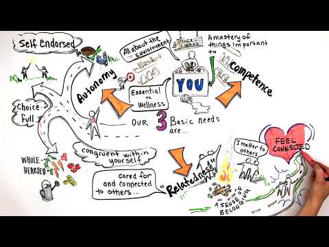 Fostering Motivation and Growth Through Self-Determination Theory