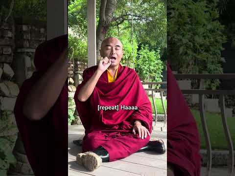 Meditation Techniques to Ease Anxiety and Enhance Calmness