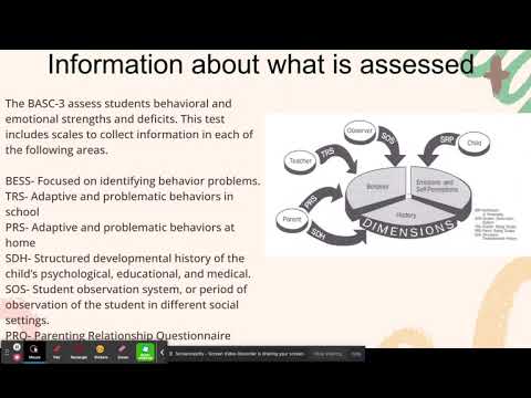 BASC 3 Response Pattern Index in Mental Health Evaluation