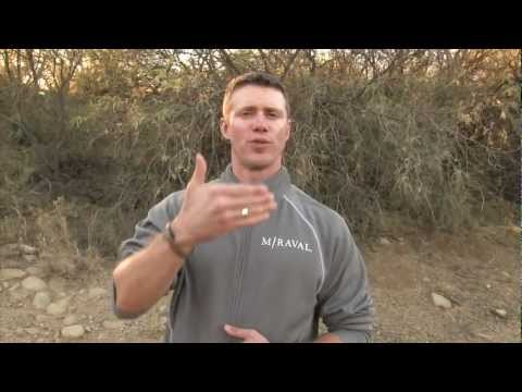 Breath Walking: A Path to Mental Clarity and Calmness