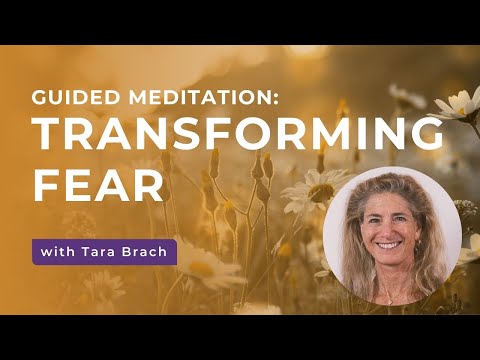 Reducing Anxiety Through Tara Brach's Meditation Techniques