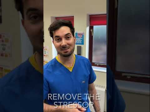 Coping with Mental Fatigue After a Long Workday