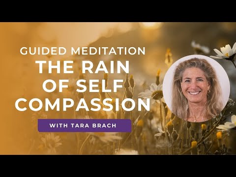 Cultivating Self Compassion with Tara Brach's Insights