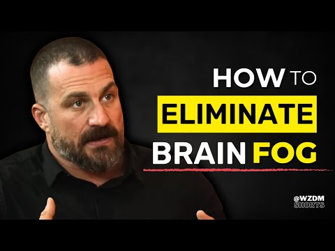 Navigating Memory Fog: Insights for Mental Clarity