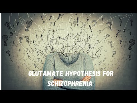 The Role of the Mesolimbic Pathway in Schizophrenia Symptoms
