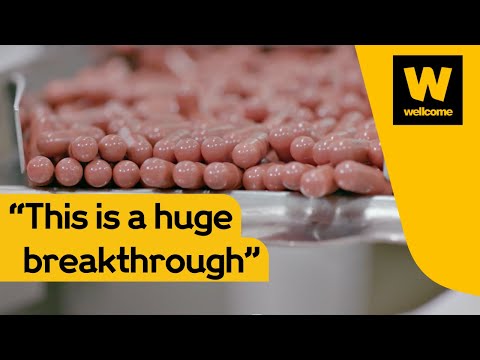 Innovative Treatments for Schizophrenia in Mental Health Care