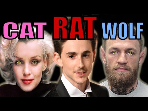 Animal Personality Test Insights for Psychological Wellbeing