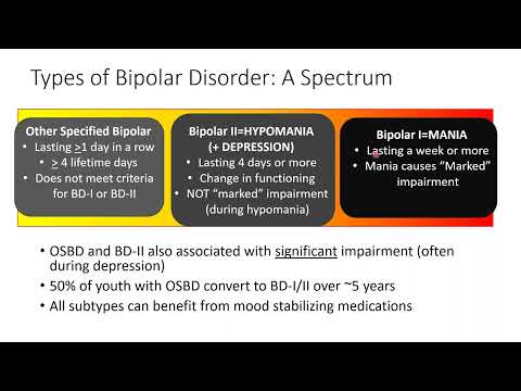 Measuring Bipolar Mood: Insights from the Mood Scale