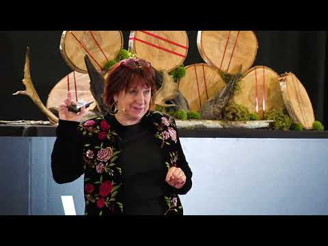 Navigating Social Phobia and Agoraphobia in Mental Health