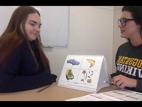 PPVT in Psychology: Assessing Verbal Skills and Growth