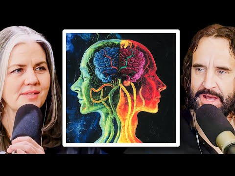 Personality Hacker Test Insights for Mental Health Awareness