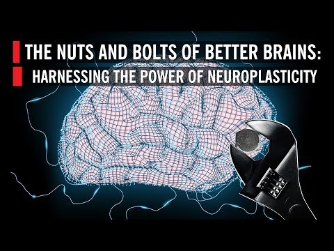 Harnessing Neuroplasticity for Mental Health Improvement