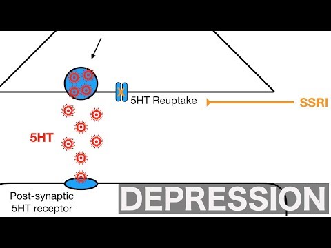 Reboxetine and Its Role in Treating Depression Symptoms