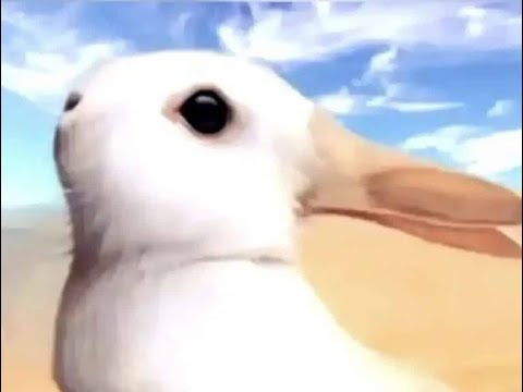 Animal Personality Test for Insights into Your Mindset