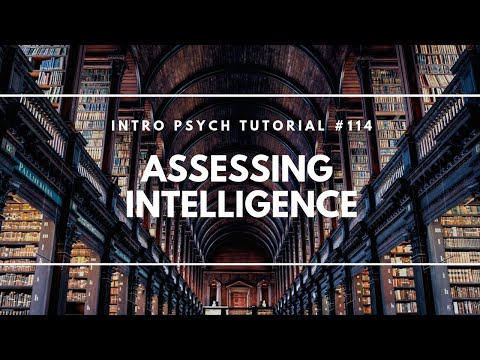 Assessing Intelligence Through the 100 IQ Test Method