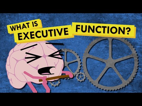 Examples of Executive Function in Mental Health Contexts
