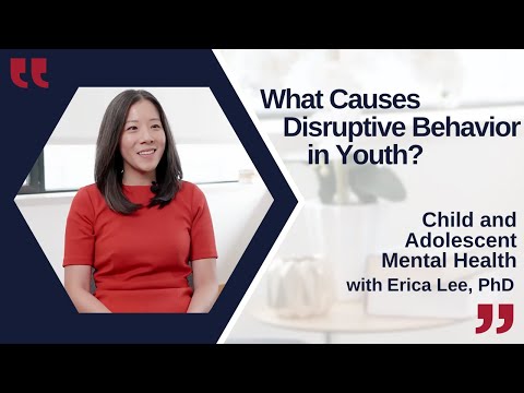 Navigating the Challenges of Disruptive Disorder in Mental Health