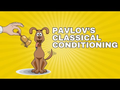 Pavlov's Legacy: Classical Conditioning in Modern Psychology